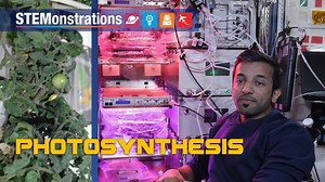 STEMonstrations: Photosynthesis