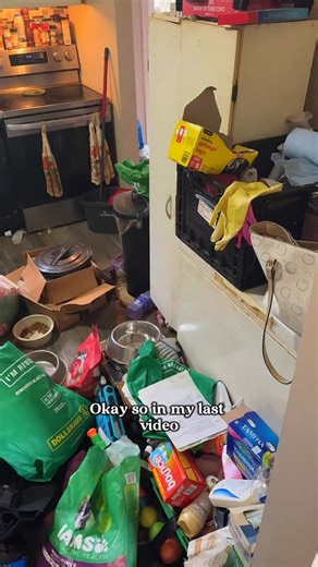 405K views · 38K reactions | How to properly get rid of fruit fly infestations 練益 #cleaning #fruitflies #howtoclean #cleaninghack | Not the Worst Cleaner | Facebook