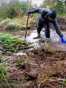 3.2K views · 46 reactions | A Dam Made Mostly Of Grass - Manual Beaver Dam Removal #dam #beaver | Johnathon Schaden | Facebook