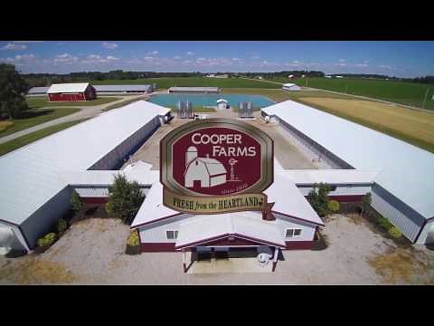 Welcome to Cooper Farms!