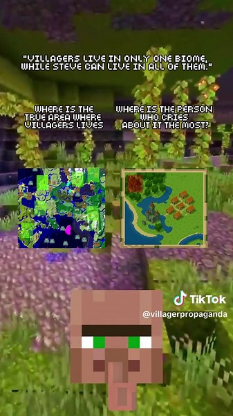 Steve Villager Crying Compilation in Minecraft