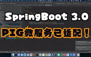 PIG微服务开发平台拥抱SpringBoot 3.0