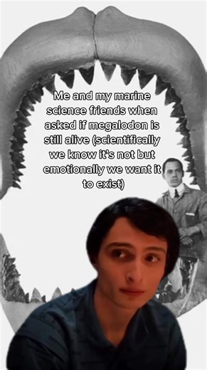 Do you think it’s still out there? The megalodon was such an awesome marine predator #fyp #megalodon #shark #marinebiology