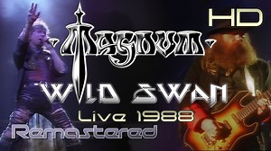 7.6K views · 333 reactions | Magnum - Wild Swan - Live 1988...