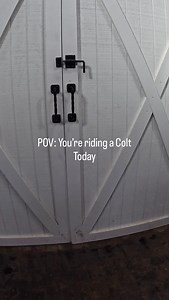 Remember “Cash”? Here’s a little update on him! A quick recap: Cash is a 2023 Buckskin Gelding we started in November during our colt starting clinic with @grantgolliher where he received a gentle, quiet start. If you look back in our videos you can watch it! His training continued in the same manner for about 30 days before he was let loose on the mountain with the other colts! They’ve been up there for about a month just enjoying themselves and the calm weather we’ve been having. This was his 