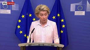 Brexit: 'Significant progress' in talks over fishing rights during trade negotiations - EU sources