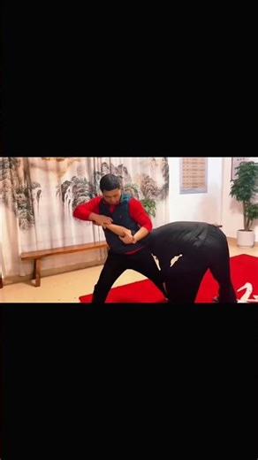 Chinna for Grab #systema #chinna #jiujitsu #takedown #kungfu