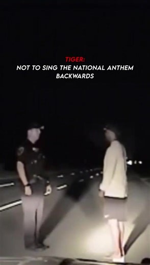 Reciting the English Alphabet Slowly: A Fun Challenge