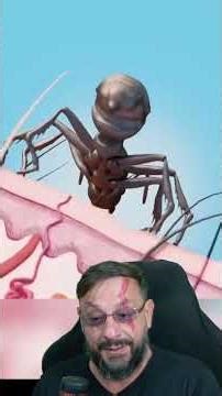 Insetos venenosos "peçonhentos" do mundo #biologohenrique #animais #bichoesperto #biologo