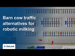 Barn cow traffic alternatives for robotic milking | DeLaval