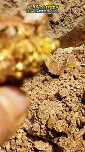 14K views · 491 reactions | Thats what we call beautiful gold right there! #gold #raregold #crystallizedgold #prospecting #metaldetecting #goldmining #fyp | Goldbay Private Reserve | Facebook