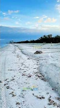 Sunday Morning, May 31st, 2026 at Clam Pass in North Naples, Florida