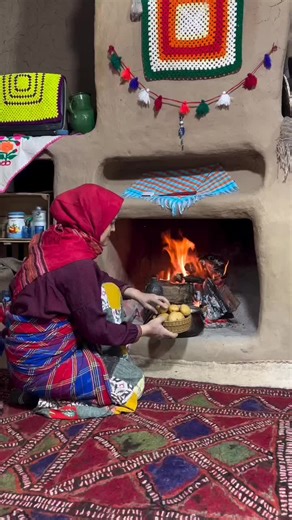 Daily Life Vlogs in the USA