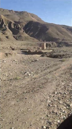 check view #1millionviews #ihavethisthingwithplants #1millionviews