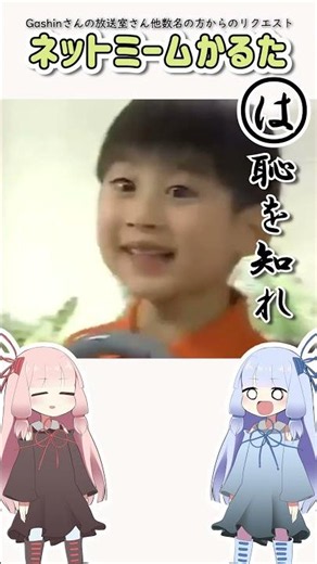 [Older work] Internet Meme Karuta #145 Shame on you