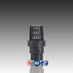 [Hot Item] DIN Standard PVC Bottom Valve with Single Union