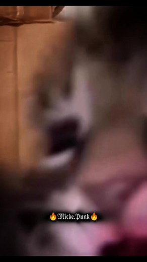 Meeeeeooooowww!!! 🐱#easycore #poppunk #emo2024 #metalcore #hardrock #poprock #punk #lyricsvideo #rockpop #metal #happypunk #deathcore #grindcore #breakdowns #guitars #drums #bass #vocals #foryou #parati #viral #numetal #memestiktok #mememetal #nekofunny #animalmetal