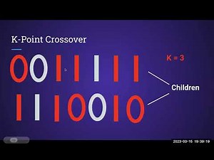 Evolutionary Algorithm - Crossover شرح بالعربي خوارزمية التطور
