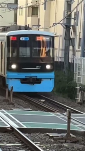東急3000系 #train #しなの鉄道 #かもつれっしゃ #peppapig #automobile #colonelkkjϟ #テンプレート #鉄道 #迷列車で行こう #どこでもきっぷ