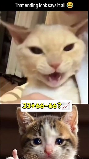 The Three Little Pigs - Read Aloud Kids Book - Bedtime Story with Dessi!N/A