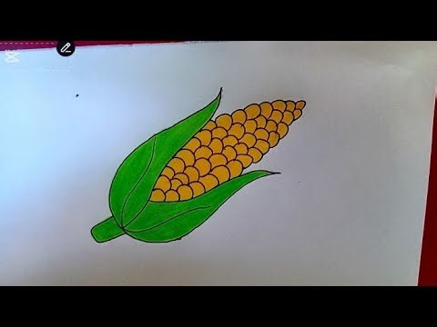 How to Draw a Corn 🌽 | Easy Step-by-Step Corn Drawing for Beginners