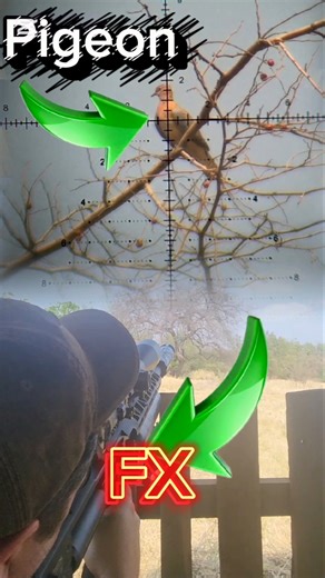 Precision Shot with the FX M3 #pigeon #hunting #airrifleshooting #pcphunters