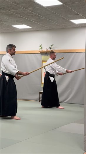 Hasso gaeshi ushiro uchi och hasso gaeshi ushiro barai #aikido #iwama #takemusu #bukiwaza #hassogaeshi | Karlstad Aikidoklubb