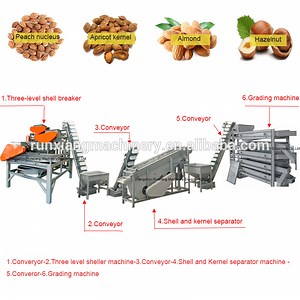 [Hot Item] Automatic Almond Shelling Machine Almond Production Line Nuts Processing Line