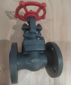 [Hot Item] API602 Forged Steel Gate Valve RF Rtj with Bronze C95800 Wedge and Seat DN25