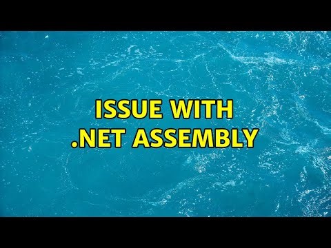 issue with .net assembly (3 Solutions!!)