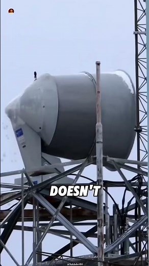 If You Hear This Sound, RUN IMMEDIATELY! 😲