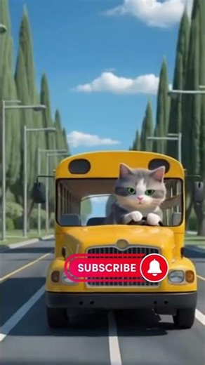 When a Cat Becomes a Bus Driver 😂🚌