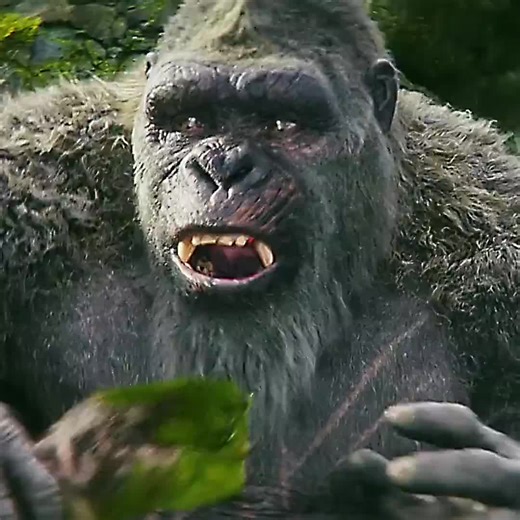 Emotionally Charged Morning Memories