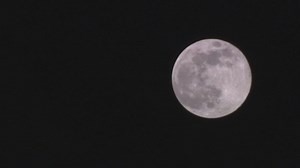 Did you see the biggest and brightest Supermoon of 2020?