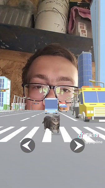 Top Cat Game Recommendations with Fun Filters