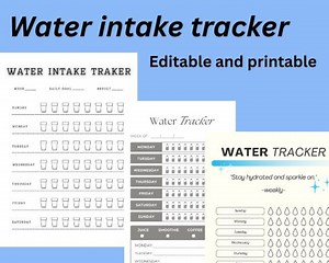 Water Intake Tracker Printable | Daily Hydration Log PDF | Health Journal Sheet | Instant Download - Etsy Australia
