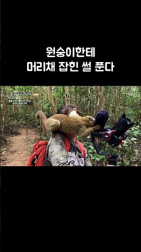 원숭이한테 머리채 잡힌 썰 푼다 #Shorts