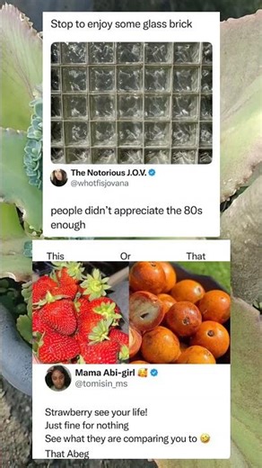 Glass Brick Walls That Instantly Bring Back 80s Home Design Vibes 🧱✨