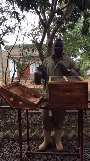 Uganda beekeeping Enock Mutabazi, SAVE THE BEES SAVE THE WORLD