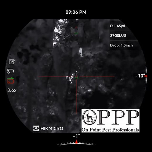 #feralcat #Otripplep #onpointpestprofessionals #hikmicrostella #thermal #rtiarms #airrifle | On Point Pest Professionals
