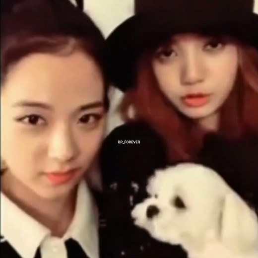 lisa jisoo dalgom together in 1 live #lisa #jisoo #blackpink #lisoo