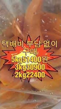 부여 건강한 늙은호박 손질호박 배송 가격 구매하는곳 웃골 농원 건강은 좋은 호박은!!!