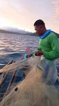 Mga galonggong ang bumangga sa lambat varando tv #short