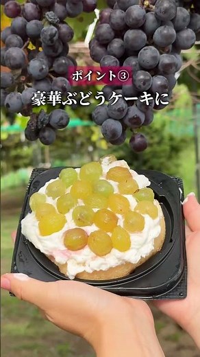 2000円で時間無制限🍇ぶどう狩り＆栗拾い体験🌰