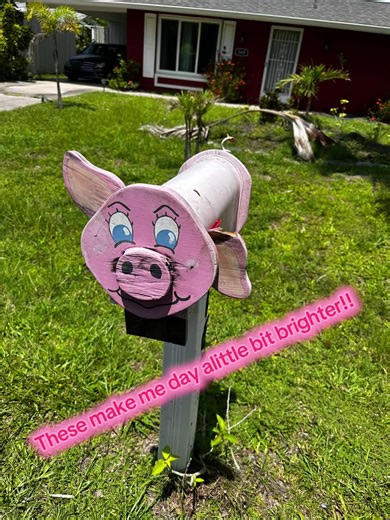 Fun mailboxes. That make my day a bit brighter. #mailladylife #usps @Steven Bates