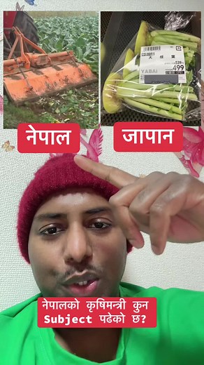 #Market management is needed for farmers of nepal#due to careless of nepal government most of Nepalese are compelled to leave nepal#fyp