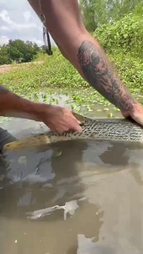 “What Fish Tagging System Are You Using?”