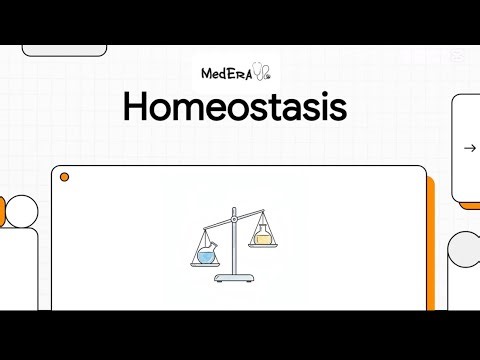HOMEOSTASIS in minutes🔥 | Ratta❌ Concept ✅| MDCAT biology | complete chp | MedEra🩺