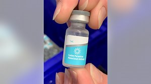 New monoclonal antibody treatment may help boost canine parvovirus survival rates