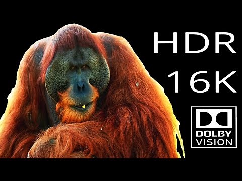 World First - 16K Video Ultra HD [HDR] - Dolby Vision